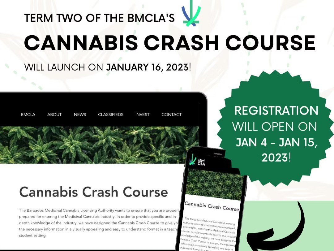 Cannabis Crash Course Term Two Registration