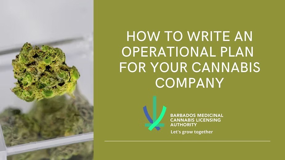 How to Write an Operational Plan for Your Cannabis Company